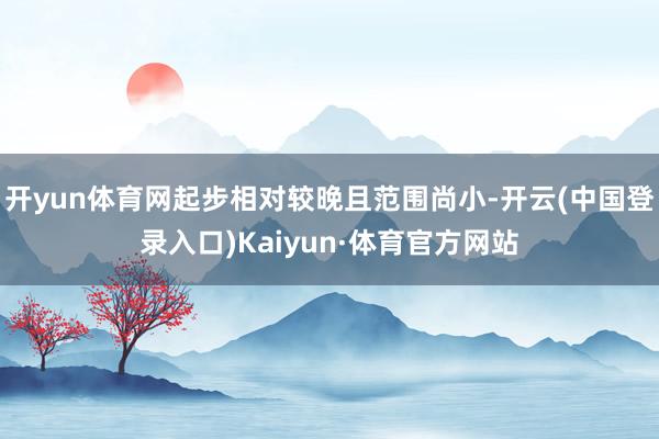 开yun体育网起步相对较晚且范围尚小-开云(中国登录入口)Kaiyun·体育官方网站