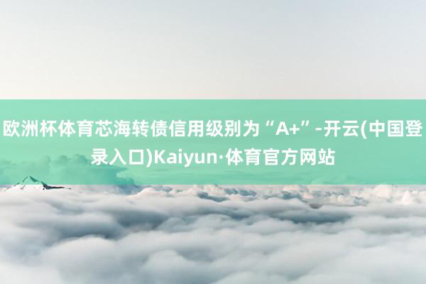 欧洲杯体育芯海转债信用级别为“A+”-开云(中国登录入口)Kaiyun·体育官方网站