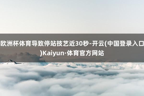 欧洲杯体育导致停站技艺近30秒-开云(中国登录入口)Kaiyun·体育官方网站