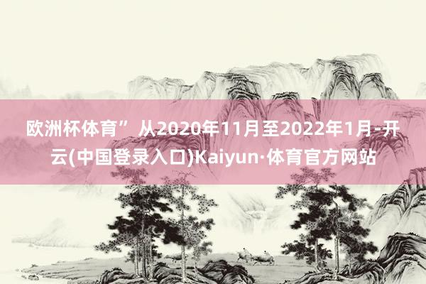 欧洲杯体育” 　　从2020年11月至2022年1月-开云(中国登录入口)Kaiyun·体育官方网站